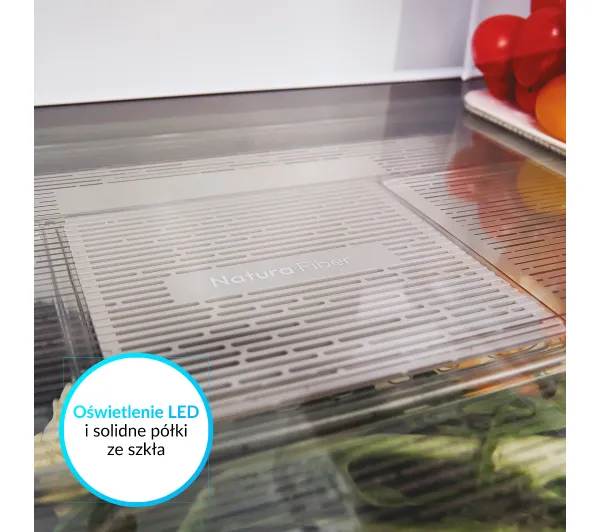 Candy ECN2CQTEX206 Fresco No Frost 205cm Inox - Kup na Raty - RRSO 0%