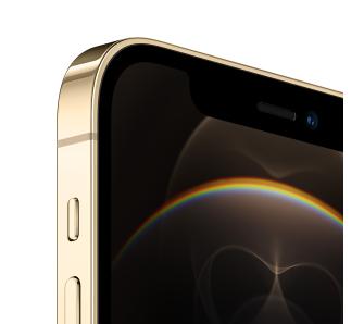 Apple iPhone 12‌ Pro Max 256GB (złoty)