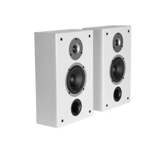 Wilson Raptor On Wall Biały 2szt. - Kup na Raty - RRSO 0%