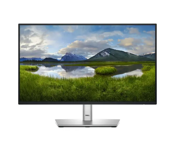 Dell P2425H 23,8" Full HD IPS 100Hz 5ms