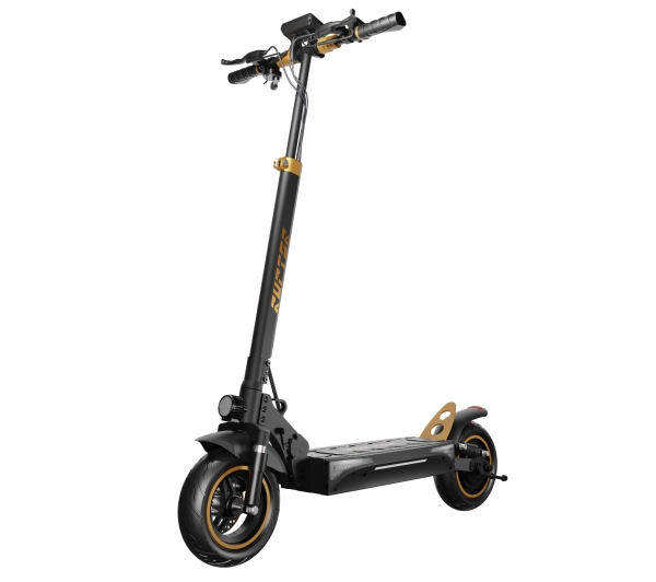 Ruptor R1 Lite v2 500W 60km 10" Miedziany