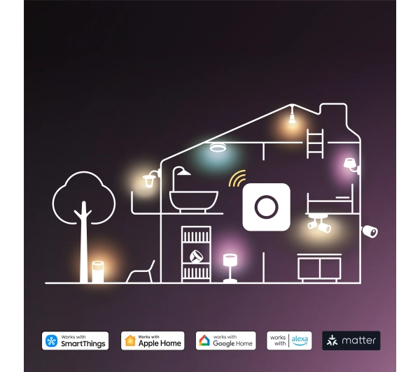 Philips Hue Essential White and Colour Ambiance 806 A60 E27