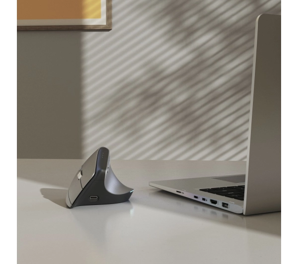 Hama EWM-700 Dla praworęcznych Szary 