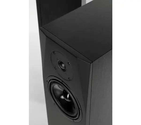 Pylon Audio Sapphire 25 Czarny 2szt. - Kup na Raty - RRSO 0%