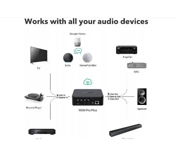 WiiM Pro Plus - Kup na Raty - RRSO 0%