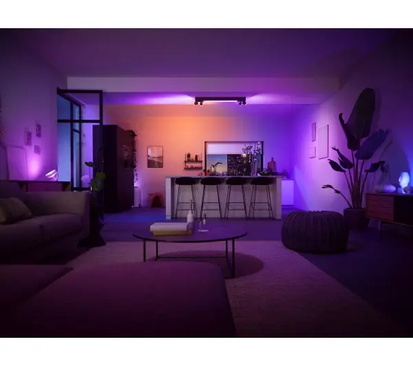Philips punktowy Centris 4 Czarny - Kup na Raty - RRSO 0%