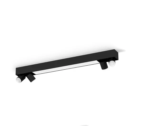 Philips punktowy Centris 4 Czarny - Kup na Raty - RRSO 0%