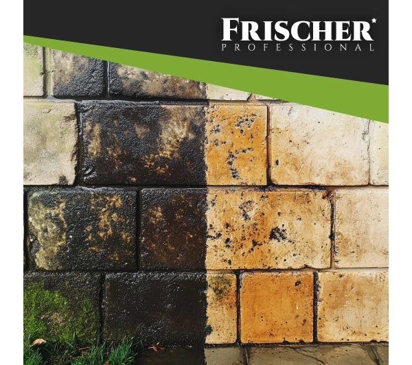 Frischer do elewacji 1l