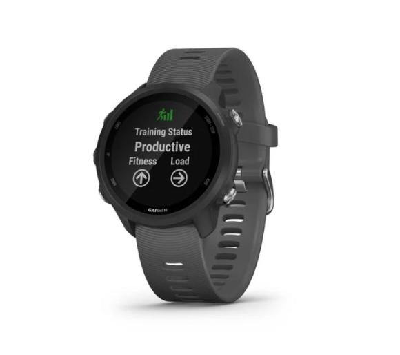 Smartwatch Garmin Forerunner 245 (szary)