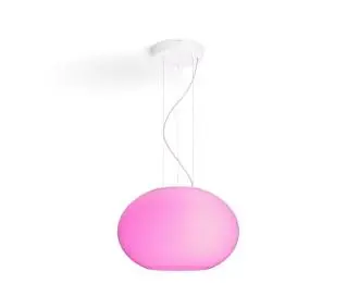 Philips Hue White and Colour Ambiance Flourish 929003053601 - Kup na Raty - RRSO 0%
