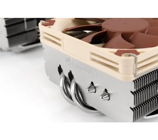 Noctua NH-L9x65 Beżowy