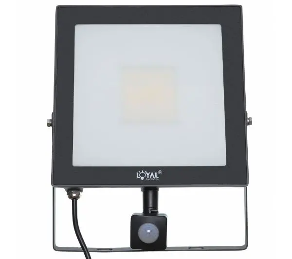 Loyal Lighting LY-FLES50 (S) 7200lm
