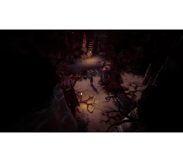Weird West Definitive Edition Gra na PS5