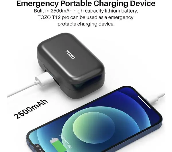 Tozo T12 Pro Dokanałowe Bluetooth 5.3 Czarny