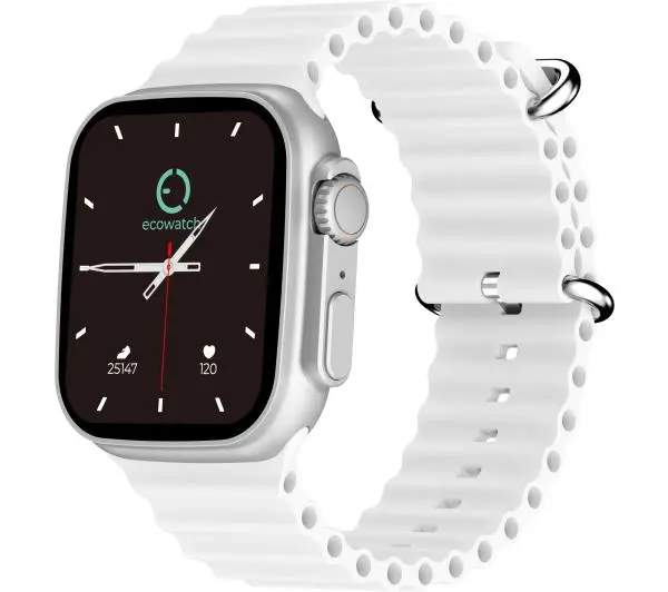 Ecowatch 2 Srebrny