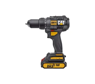CAT DX11