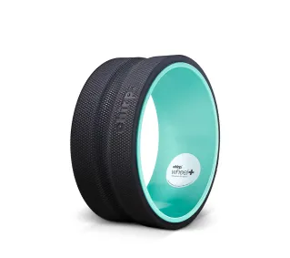 Chirp Wheel+ 10"