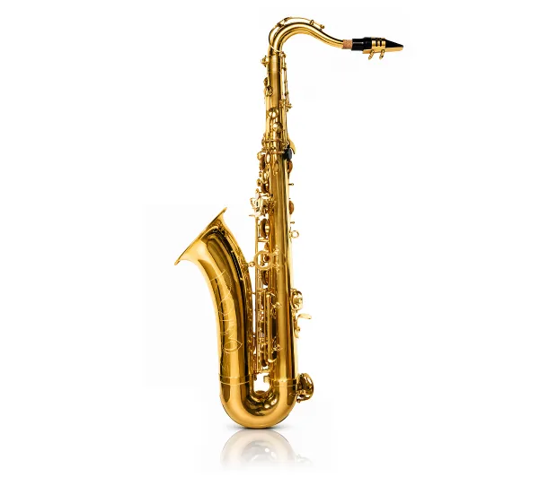 Musicmate MM-D120 SaxEssence