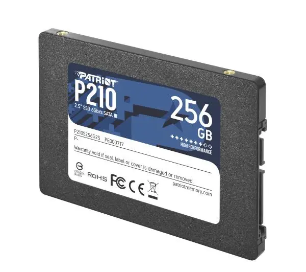 Patriot P210 256GB