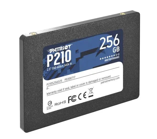 Patriot P210 256GB