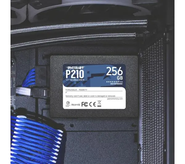 Patriot P210 256GB
