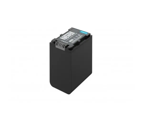 Newell NP-FV100A