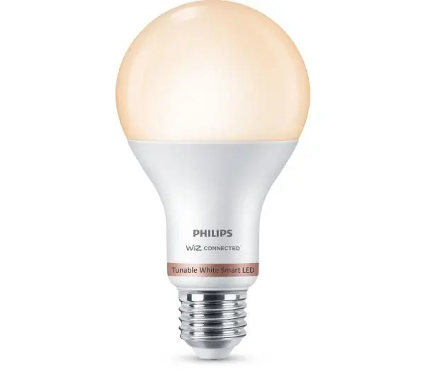 Inteligentne oświetlenie - Philips E27 A67 13W 100 W