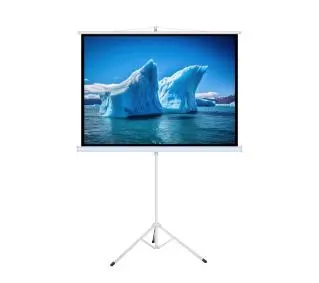 ART ERA T110 16:9 110" 244x137cm - Kup na Raty - RRSO 0%