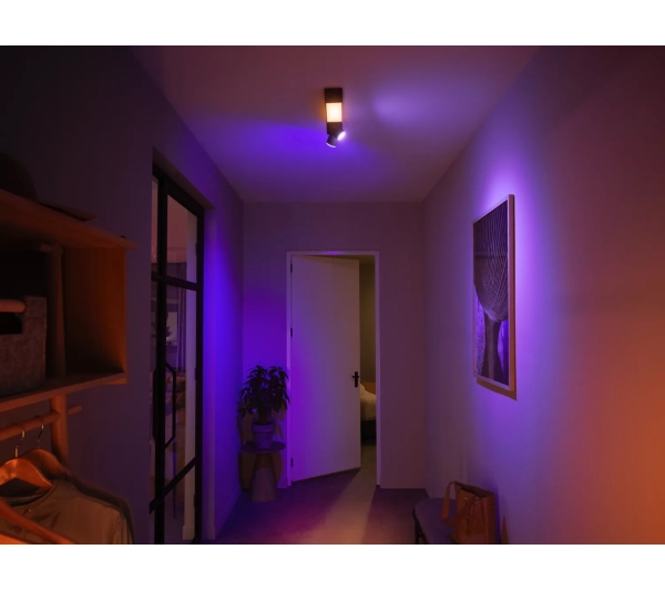 Philips Hue White and Color Ambiance Centris 2 Czarny - Kup na Raty - RRSO 0%