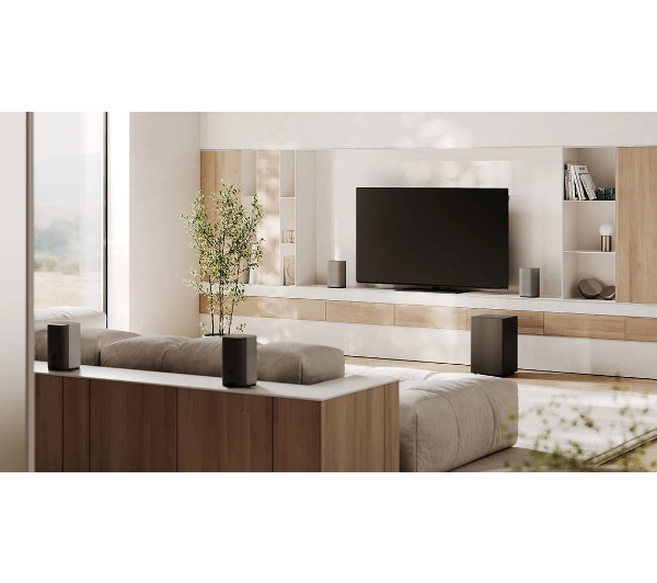 Loewe We. BOOST Szary - Kup na Raty - RRSO 0%