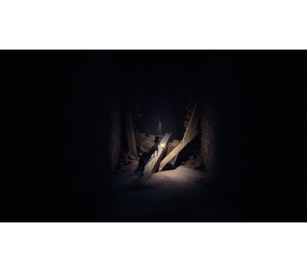 Reanimal Collector's Edition Gra na PS5 - przedsprzedaż