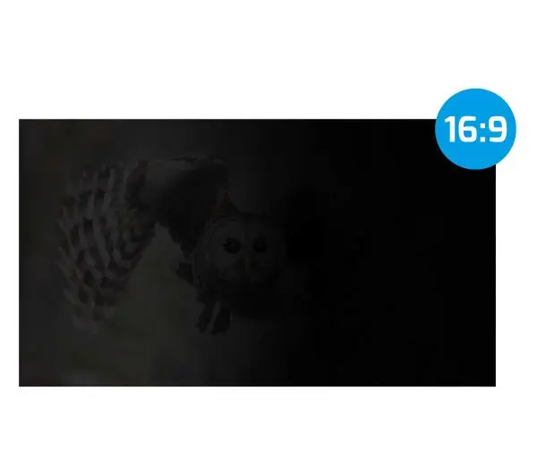 Natec OWL 15,6" 16:9