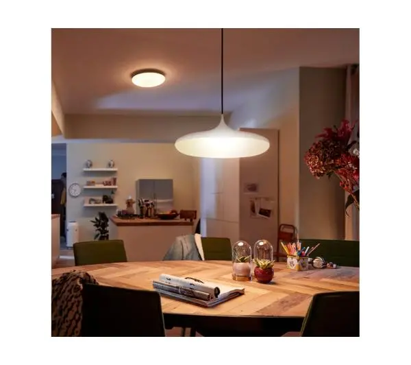 Philips Hue White Ambiance Cher 929003054201 Biały - Kup na Raty - RRSO 0%