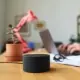 Alexa, Google Home, Homepod – czy są dostępne po polsku? Który wybrać