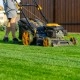 Pierwsze koszenie trawy po zimie &ndash; kiedy i jak to zrobić?