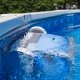 Jak działa odkurzacz do basenu i jaki wybrać najlepszy?