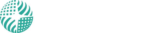 500ppi