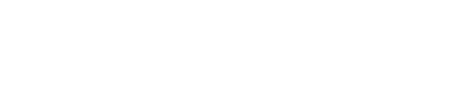 1100ppi