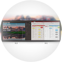 БАГАТОВИГЛЯД