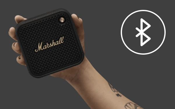 Marshall Willen II 10W Czarno-miedziany - Dobra cena, Opinie