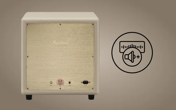 Задня панель кремового сабвуфера Marshall з регуляторами гучності